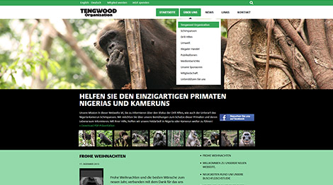 blog tengwood organization webseite